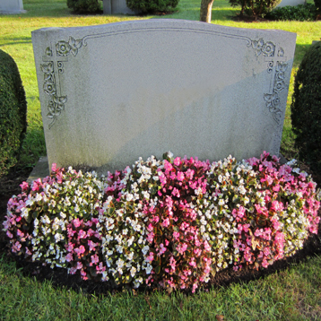 Newton Cemetery Begonia Flower Bed