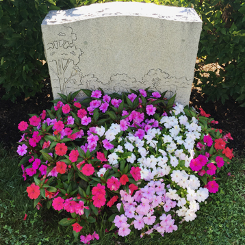 Newton Cemetery Ground Cover Impatien flower bed