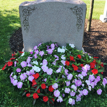 Newton Cemetery Ground Cover New Guinea Impatien Flower Bed