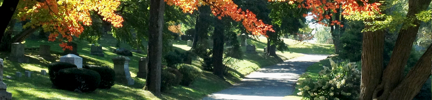 Newton Cemetery Plan