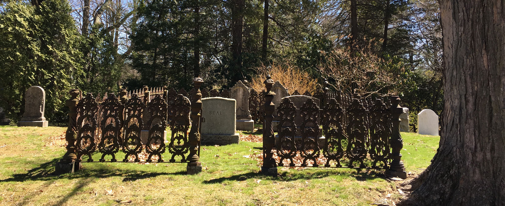 Whipple-Beal-Fence.